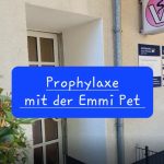 prophylaxe-emmi-pet