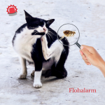 Flohalarm_1