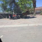team-preising-goes-namibia-19