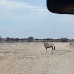 team-preising-goes-namibia-23