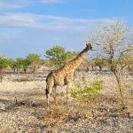 team-preising-goes-namibia-24
