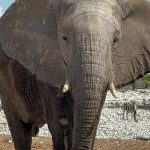 team-preising-goes-namibia-26