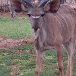team-preising-goes-namibia-27