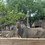 team-preising-goes-namibia-28