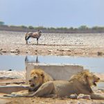 team-preising-goes-namibia-29
