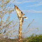 team-preising-goes-namibia-31