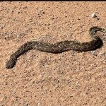 team-preising-goes-namibia-32