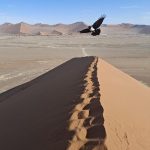 team-preising-goes-namibia-34