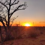 team-preising-goes-namibia-35