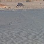 team-preising-goes-namibia-36