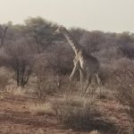 team-preising-goes-namibia-38