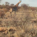 team-preising-goes-namibia-39