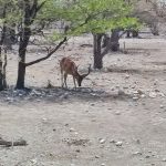 team-preising-goes-namibia-41