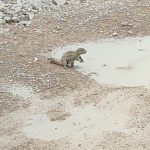 team-preising-goes-namibia-43