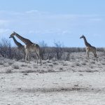 team-preising-goes-namibia-45