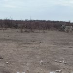 team-preising-goes-namibia-46