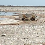 team-preising-goes-namibia-49