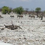 team-preising-goes-namibia-50