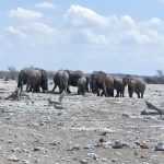 team-preising-goes-namibia-51