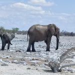 team-preising-goes-namibia-52