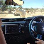 team-preising-goes-namibia-53